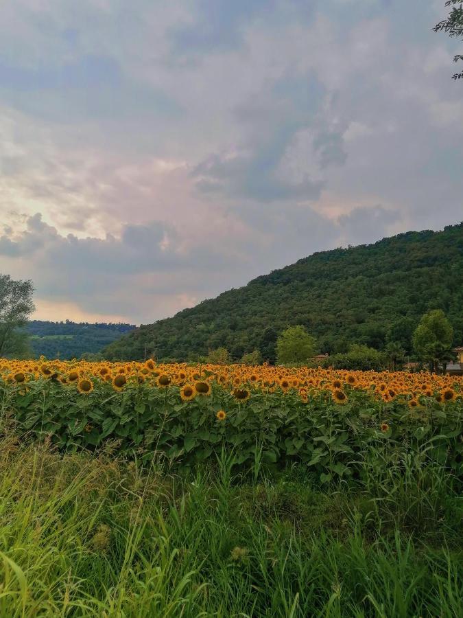 Ca' Dei Berici - Residence Ad Arcugnano Grancare Luaran gambar