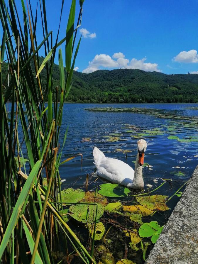 Ca' Dei Berici - Residence Ad Arcugnano Grancare Luaran gambar