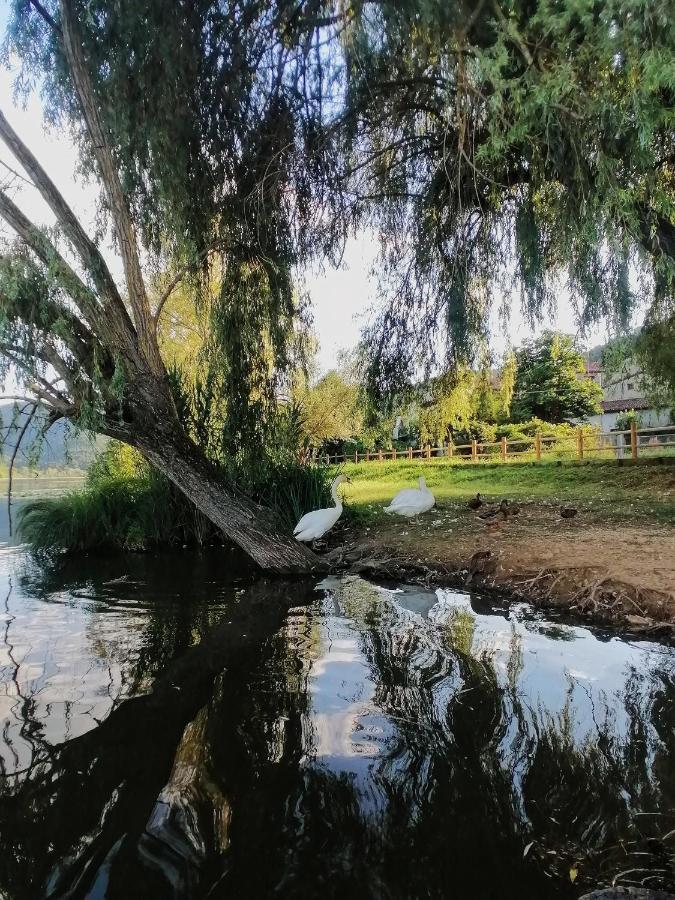 Ca' Dei Berici - Residence Ad Arcugnano Grancare Luaran gambar