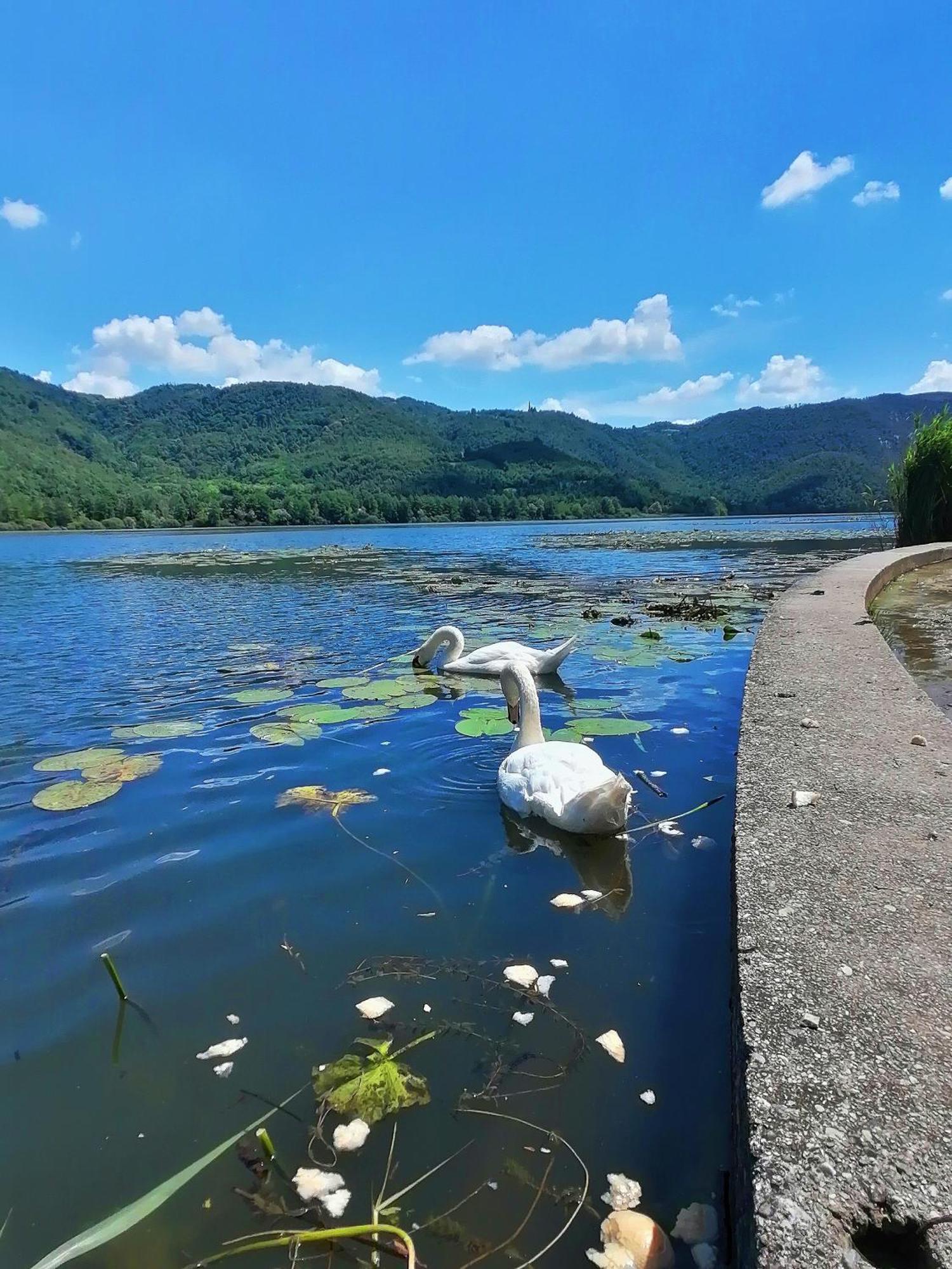 Ca' Dei Berici - Residence Ad Arcugnano Grancare Bilik gambar